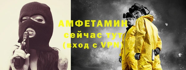 дживик Белокуриха