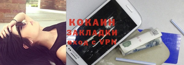 дживик Белокуриха
