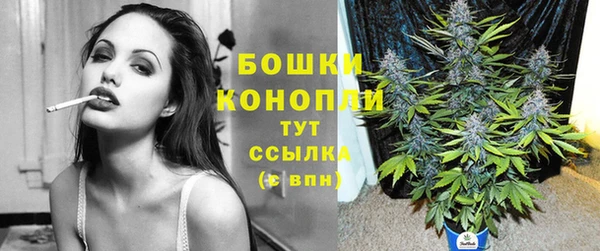 дживик Белокуриха